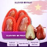  Roi đỏ An Phước (áp dụng tại Hà Nội) 