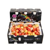  Cherry Vàng SuperBig Úc 