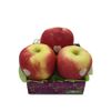 Táo Ambrosia New Zealand khay 03 quả