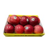  Táo Gala Mỹ Size Nhỏ 