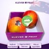 Táo Koru Organic - New Zealand khay 02 quả