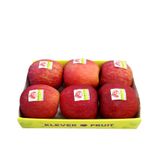  Táo Mật Sun Fuji Nhật Bản 