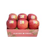  Táo Mật Sun Fuji Nhật Bản 