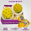 Thanh Long Tổ Yến giống Ecuador tại Klever Fruit