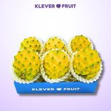  Thanh Long Tổ Yến giống Ecuador 