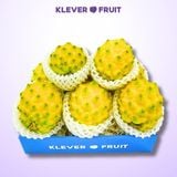  Thanh Long Tổ Yến giống Ecuador 