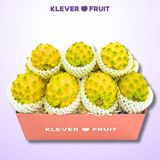  Thanh Long Tổ Yến giống Ecuador 