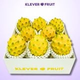  Thanh Long Tổ Yến giống Ecuador 