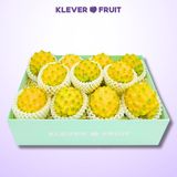  Thanh Long Tổ Yến giống Ecuador 