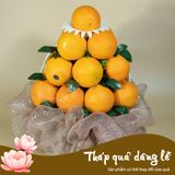  Tháp Quả Dâng Lễ 