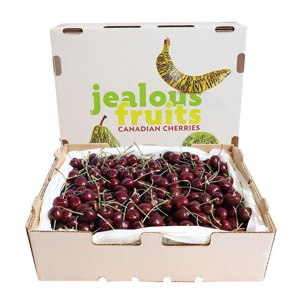 Cherry SuperBig Canada của Klever Fruit