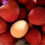  Vải Trứng Hưng Yên 