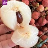  Vải Trứng Hưng Yên 