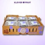  Việt Quất Mỹ 