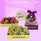  Vitamins cho gia đình 5 người - Chủ Nhật 