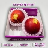  Xuân Đào Vàng Úc 