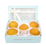  Lê Nhật Bản Cao Cấp 