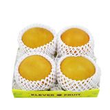  Lê Nhật Bản Cao Cấp 