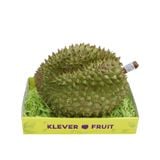  Sầu riêng giống Thái  (áp dụng tại Hà Nội) 