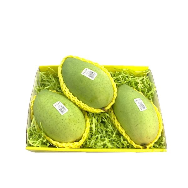 Xoài Cát Hòa Lộc