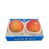 Táo Hirosaki Fuji Nhật Bản Từ Klever Fruit khay 02 quả