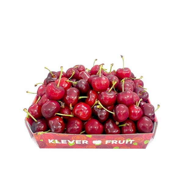 Klever Fruit và RD8: Hợp Tác Phát Triển Cherry Hữu Cơ New Zealand Tại Việt Nam