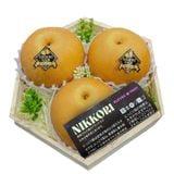  Hộp quà Lê Nikkori Nhật Bản 