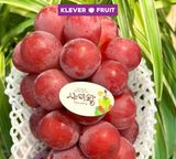  Nho Glory Star Hàn Quốc 