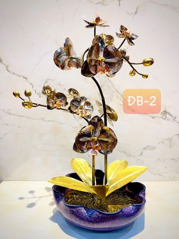 CHẬU LAN PHÚ QUÝ ĐỒNG BẠCH, 2 CÀNH (Cao 42cm)
