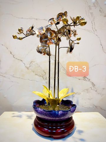 CHẬU LAN PHÚ QUÝ ĐỒNG BẠCH, 3 CÀNH (Cao 43cm)