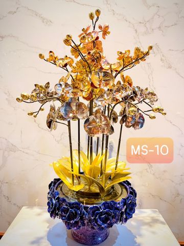 CHẬU LAN PHÚ QUÝ TAM KHÍ 3 MÀU: VÀNG, TRẮNG, ĐỎ, CAO 68cm  (10 CÀNH)