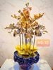 CHẬU LAN PHÚ QUÝ TAM KHÍ 3 MÀU: VÀNG, TRẮNG, ĐỎ, CAO 68cm  (10 CÀNH)