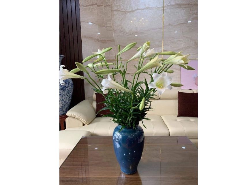 Lọ hoa men hỏa biển - 03