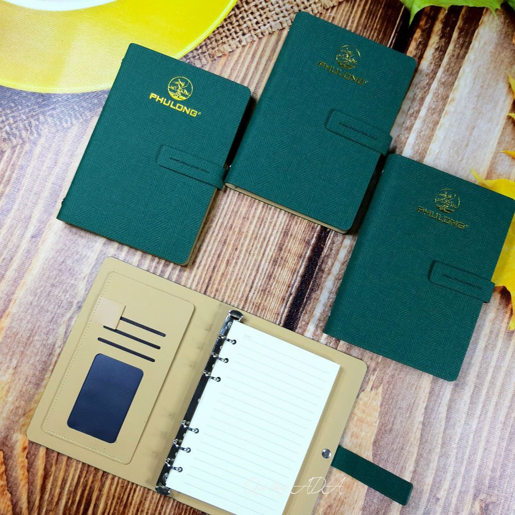 Sổ lăn sơn 13