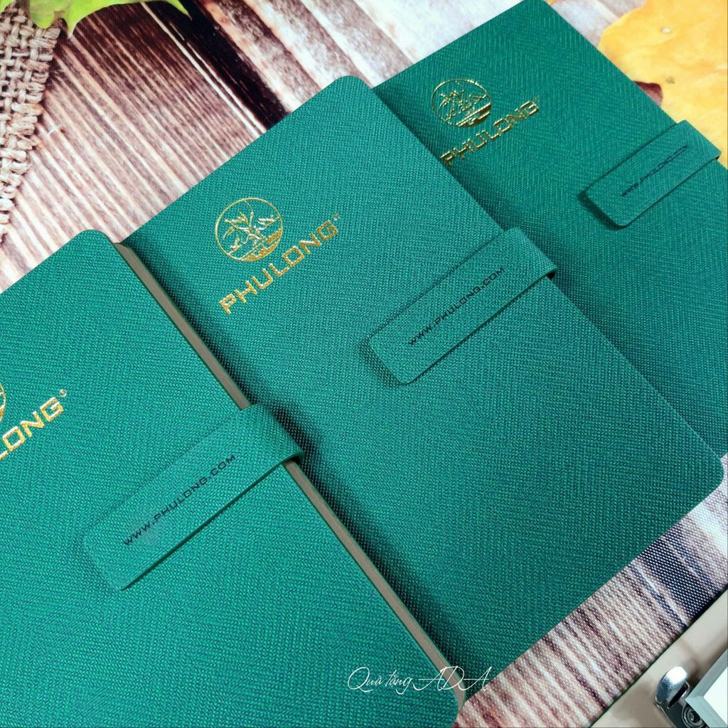 Sổ lăn sơn 13