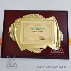 Bảng vinh danh BVD06