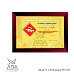 Bảng vinh danh BVD08