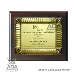Bảng vinh danh BVD09