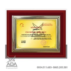 Bảng vinh danh BVD11