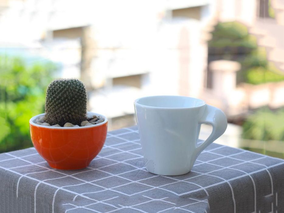 Ly sứ men trắng quai xoắn 200ml