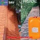  TẨY RÊU BESTCLEAN C44 5L - TẨY RÊU NGÓI 