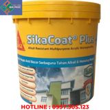  SIKACOAT PLUS 20KG - MÀNG CHỐNG THẤM TƯỜNG NGOÀI, SÀN MÁI 
