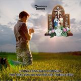  Bàn Thờ Công Giáo Tuyệt Đẹp Kích Thước Nhỏ Đầy Đủ Phụ Kiện Hoa + Đèn 