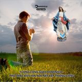  Tượng Công Giáo Composite Cao Cấp Đức Mẹ Ban Ơn Nhiều Kích Cỡ Lựa Chọn 