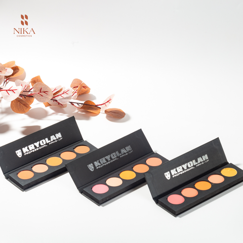 Bảng Phấn Mắt Má Hồng Kryolan Blusher Palette 5 Colors