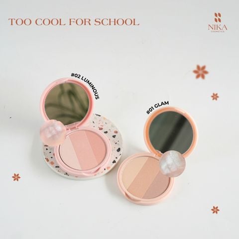 Phấn Bắt Sáng Too Cool For School Artclass By Rodin Highlighter
