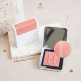 Má Hồng Haus Labs Color Fuse Blush 5G