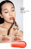 Son Dưỡng Sulwhasoo Perfecting Lip Color 3G