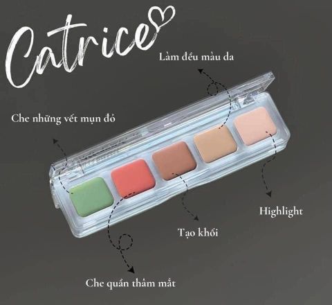 Bảng Che Khuyết Điểm Triệt Sắc Catrice Allround 5Ô 6G