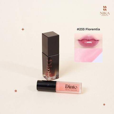 Set Son + Má Hồng Dinto Blur Glowy & Perfect Pair